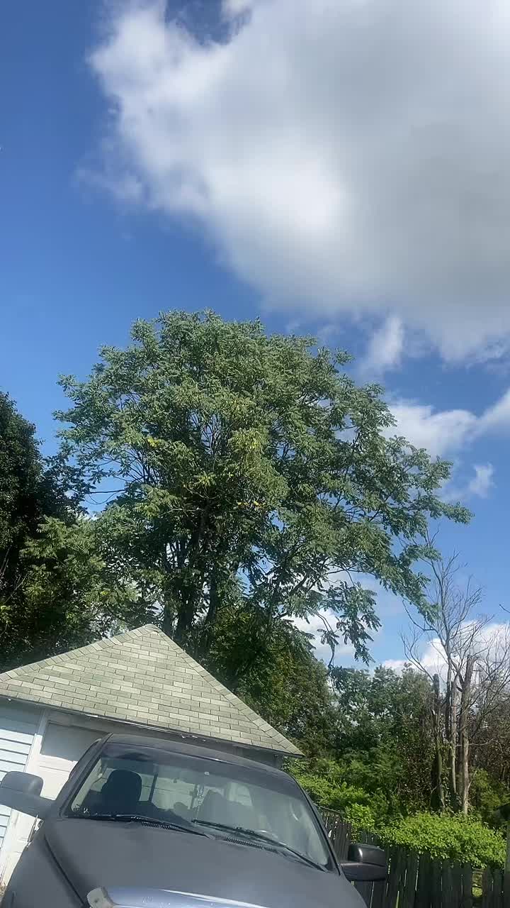 @Dylan 😎