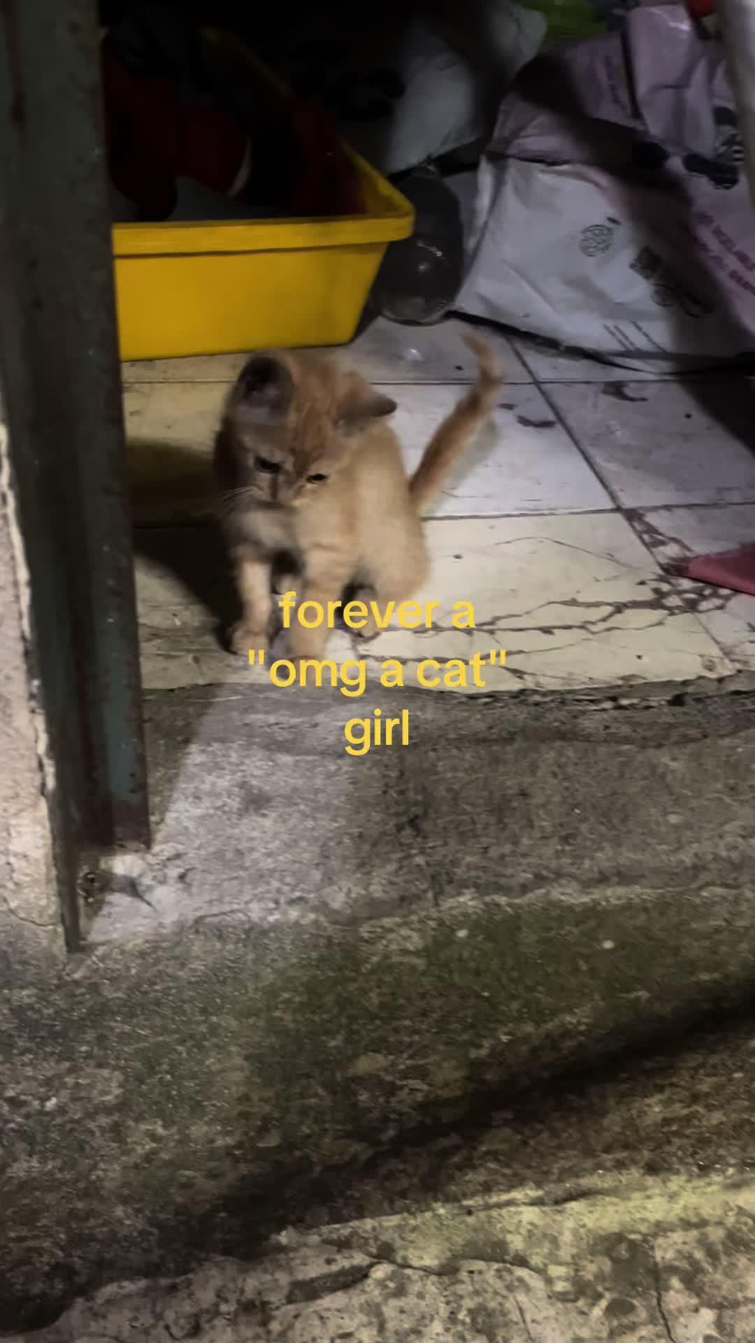 @𝐵𝐴𝑅𝐵𝐼𝐸