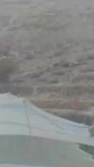 @الصقر اليماني