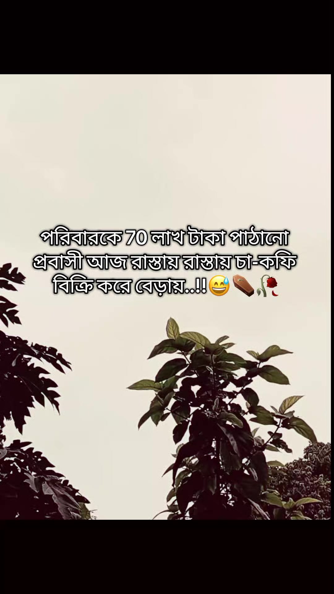 @đ_-Ayan-_đ