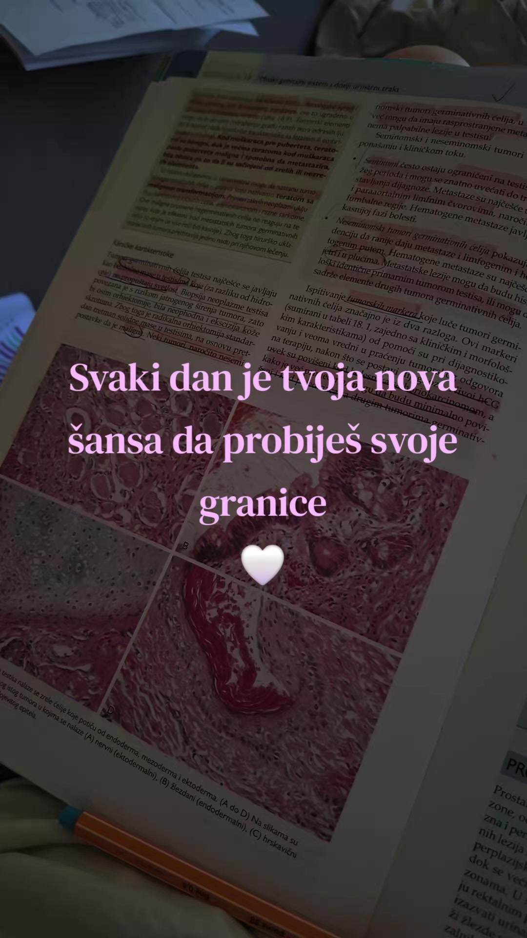 @Michii__