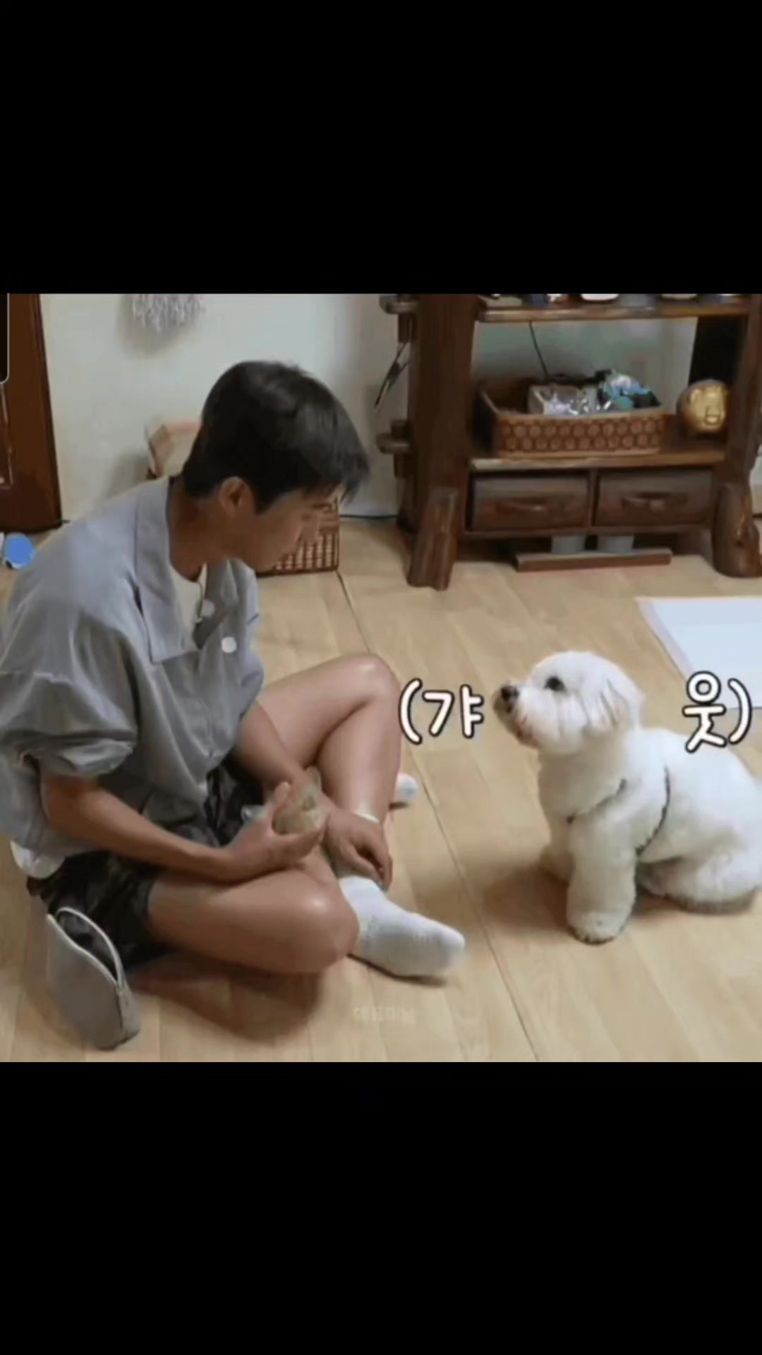 @트롯씬나