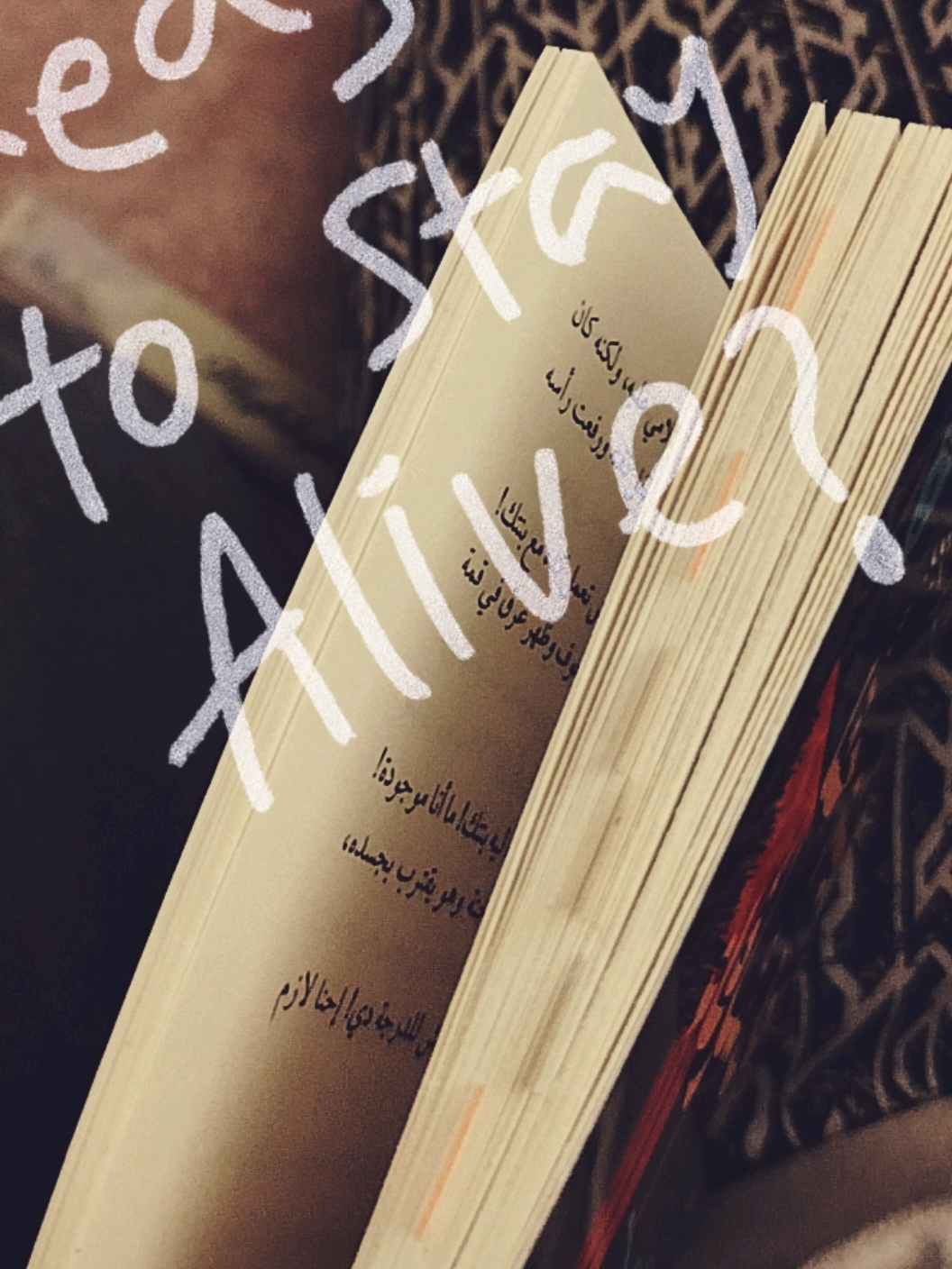 @Malak📚📸