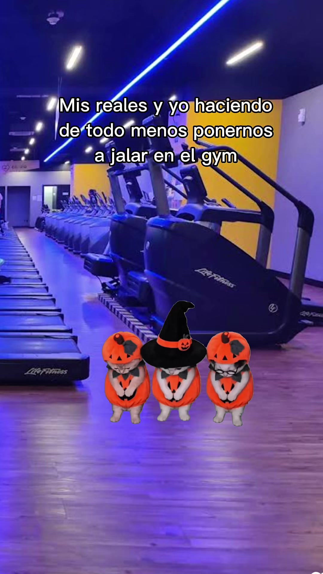@gymratsmx