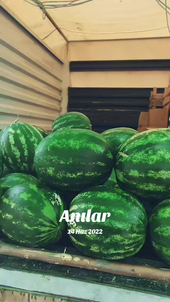 @ERDOĞAN KO&Ccedil;YİĞİT 03