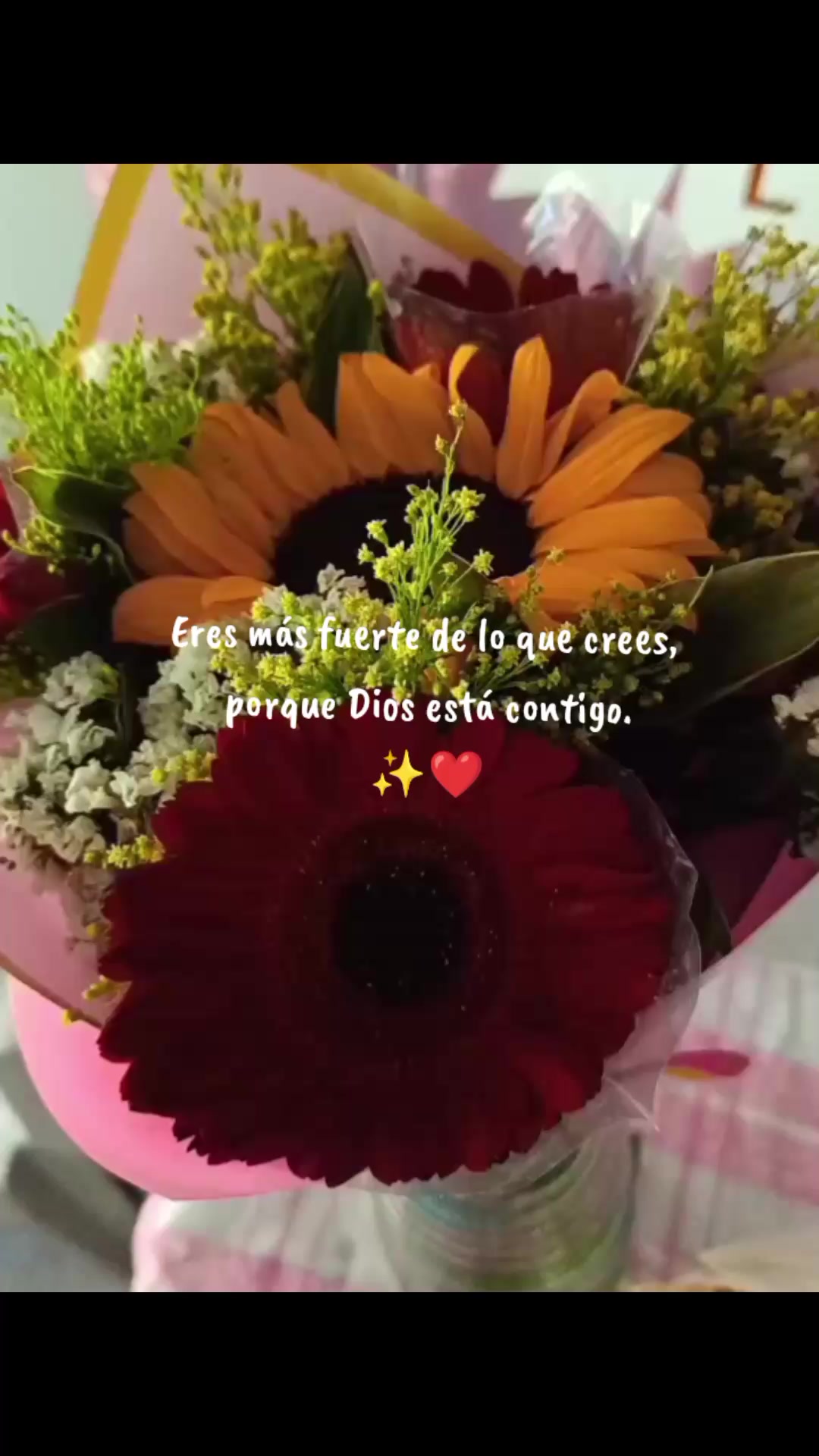 @Joha 💜