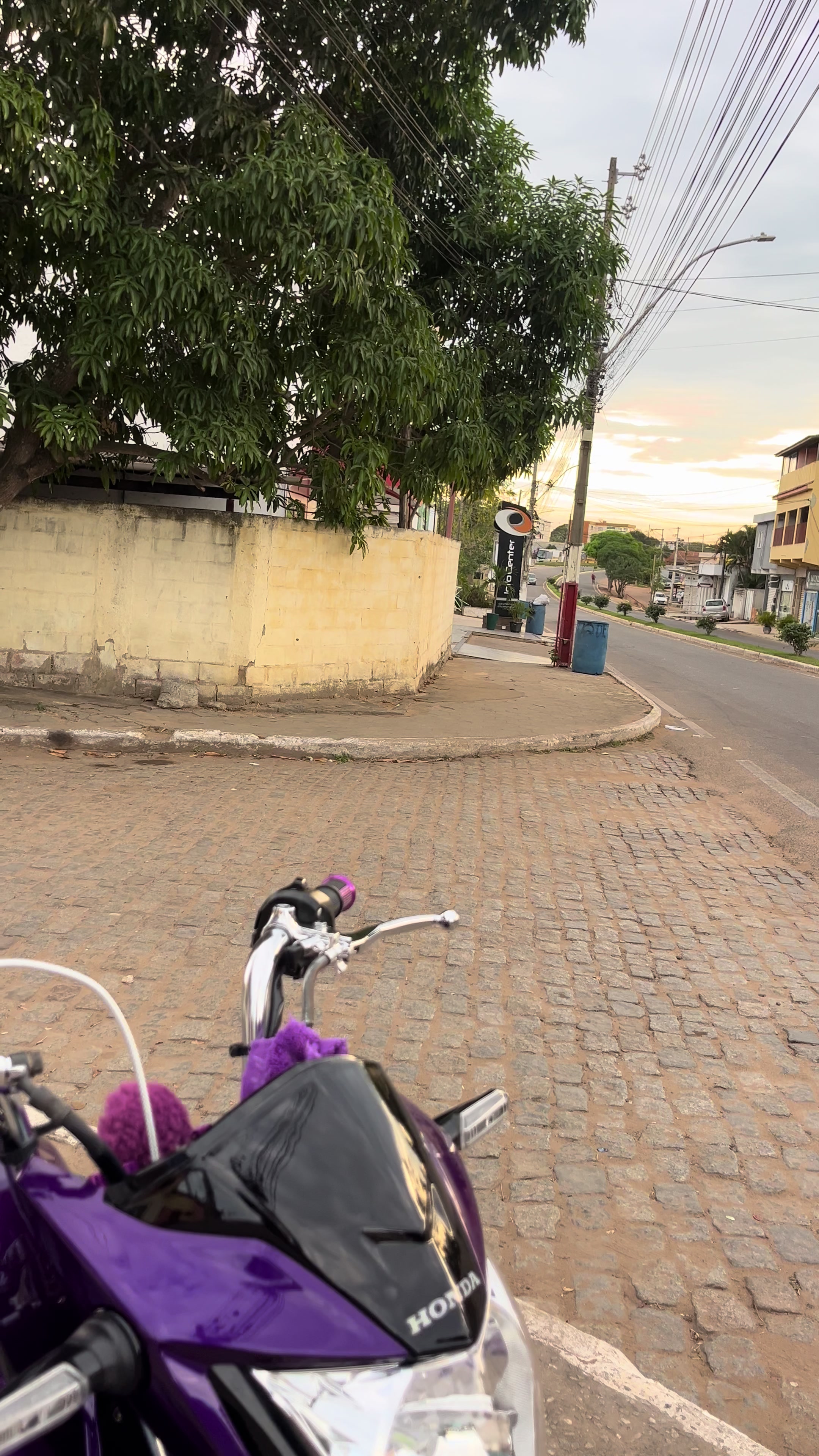 @Estevinho da roxinha💜