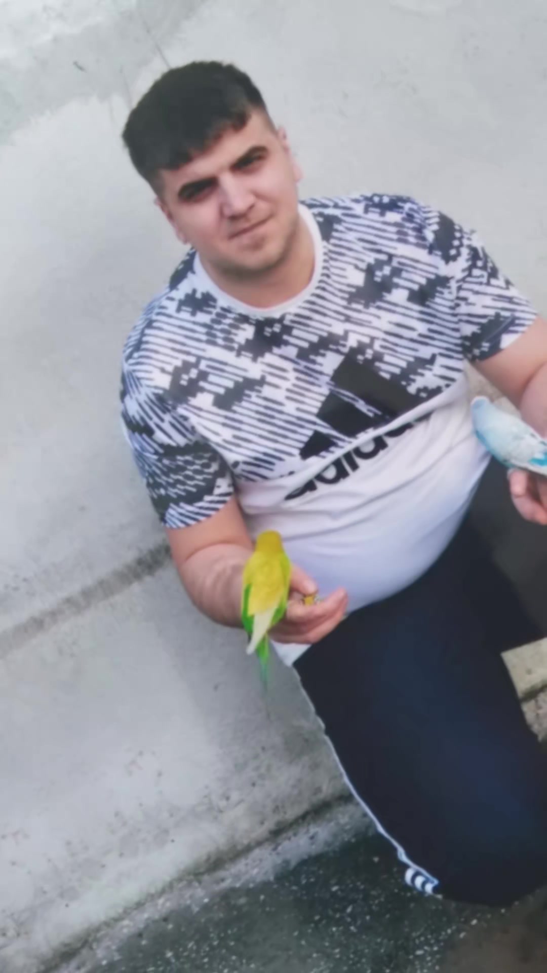 @asii