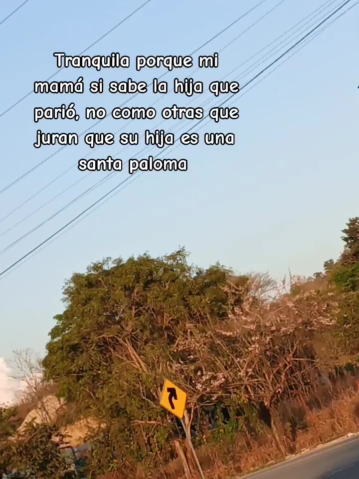 @🍃🤍