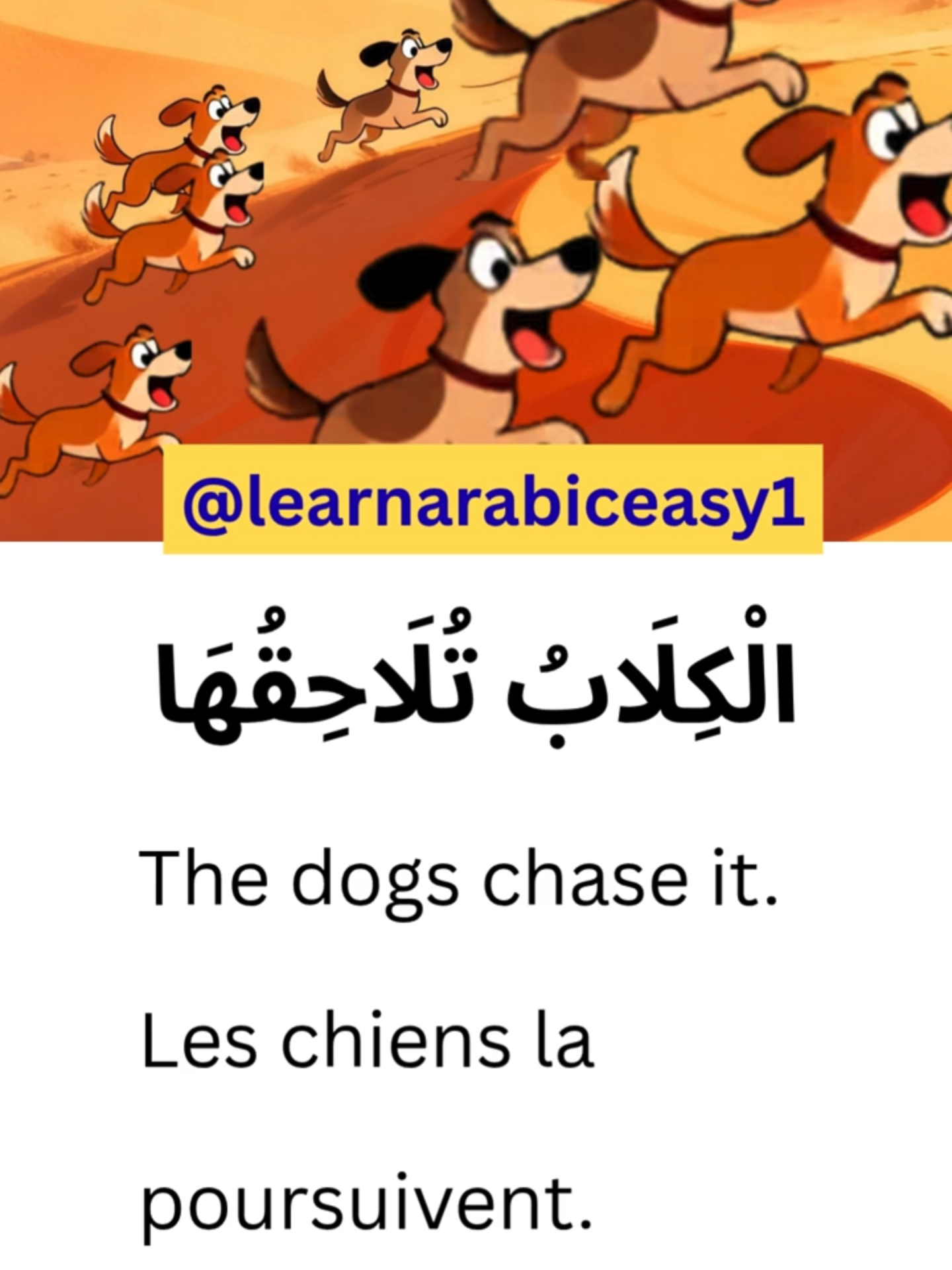 @learnarabiceasy1