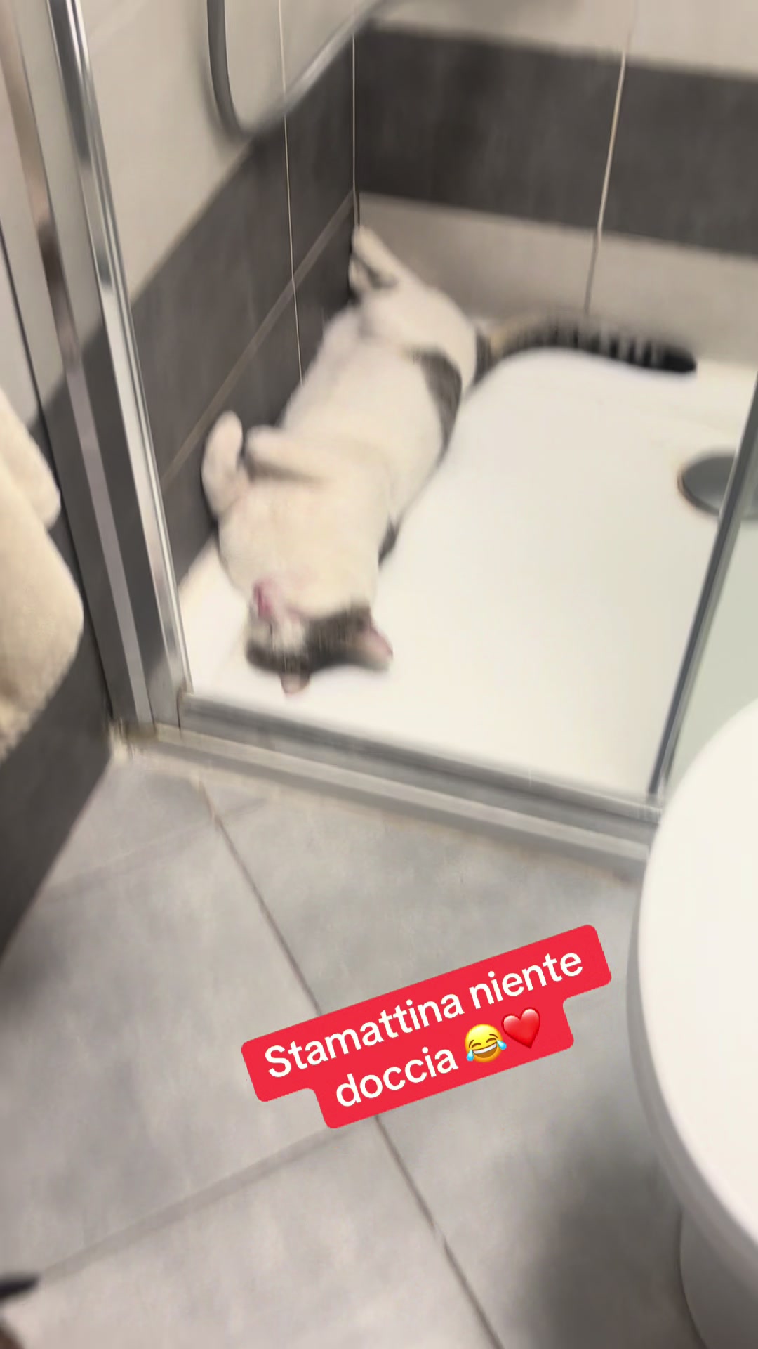 @Gra_Lagra_👑