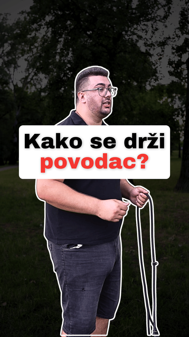 @superdog.akademija