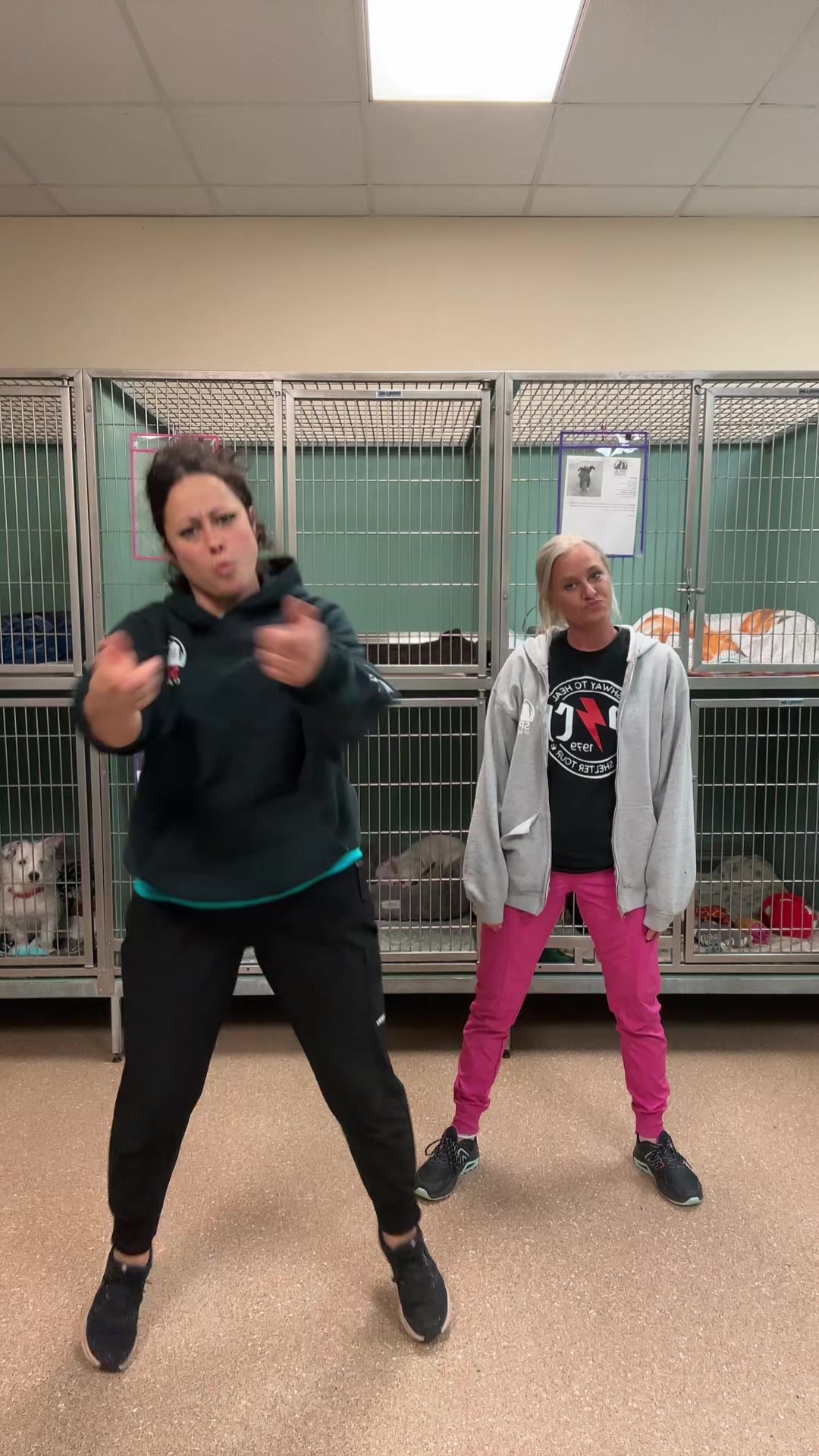 @2vettechs