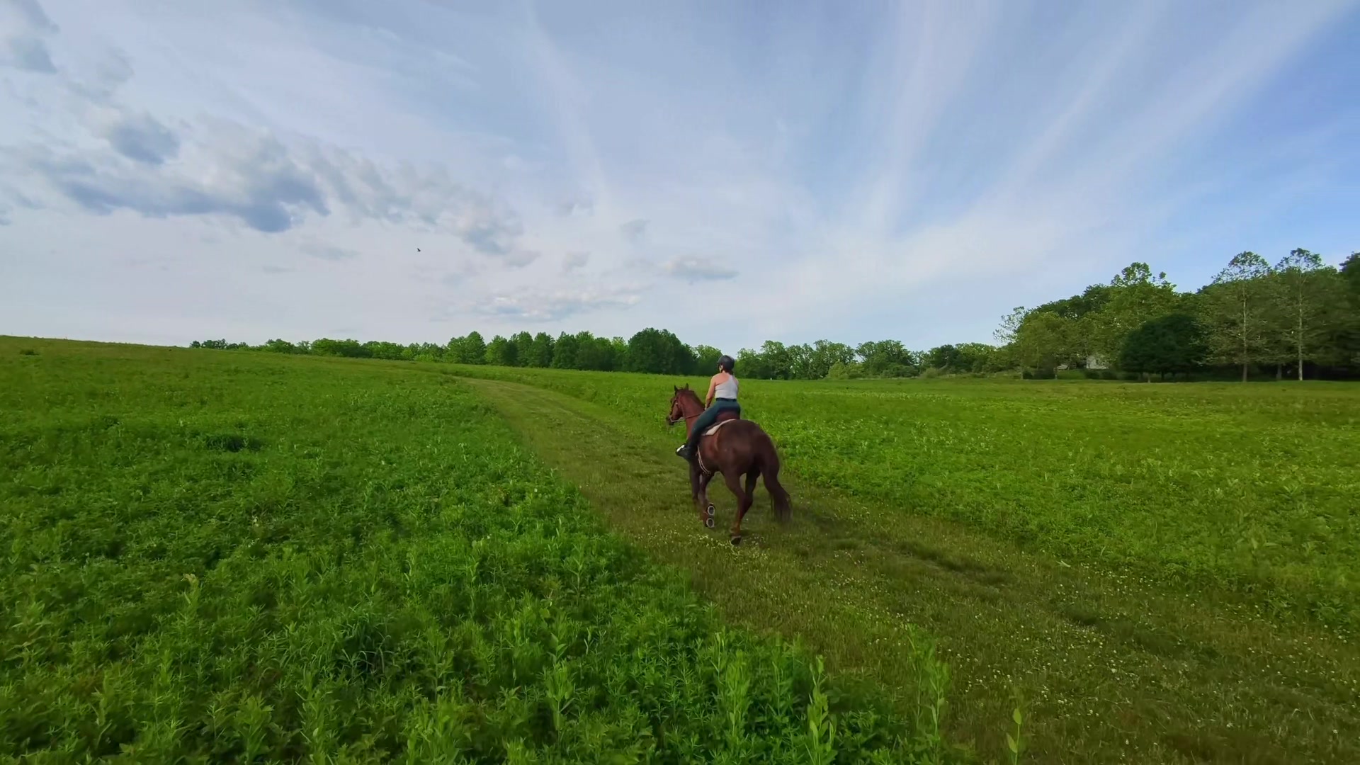 @TinySuburbanFarm
