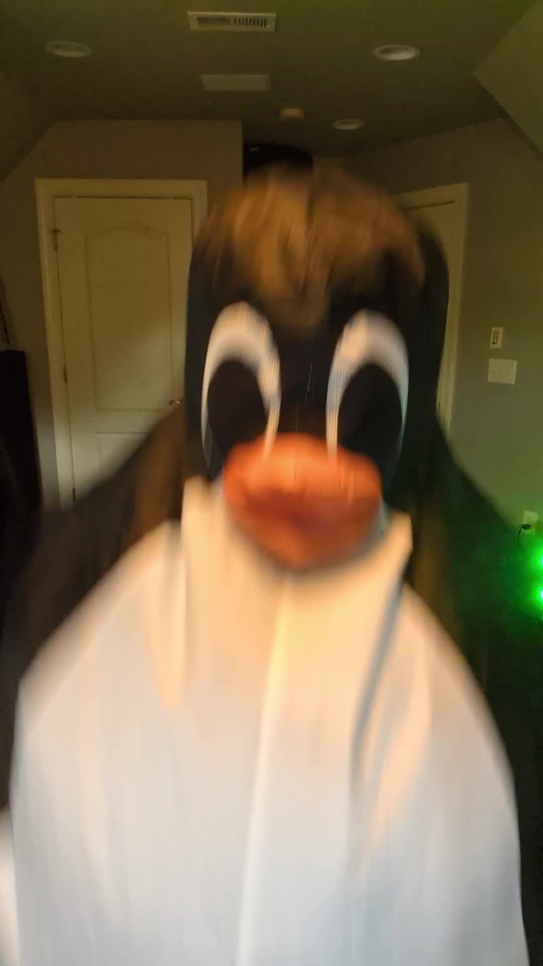@Flipper