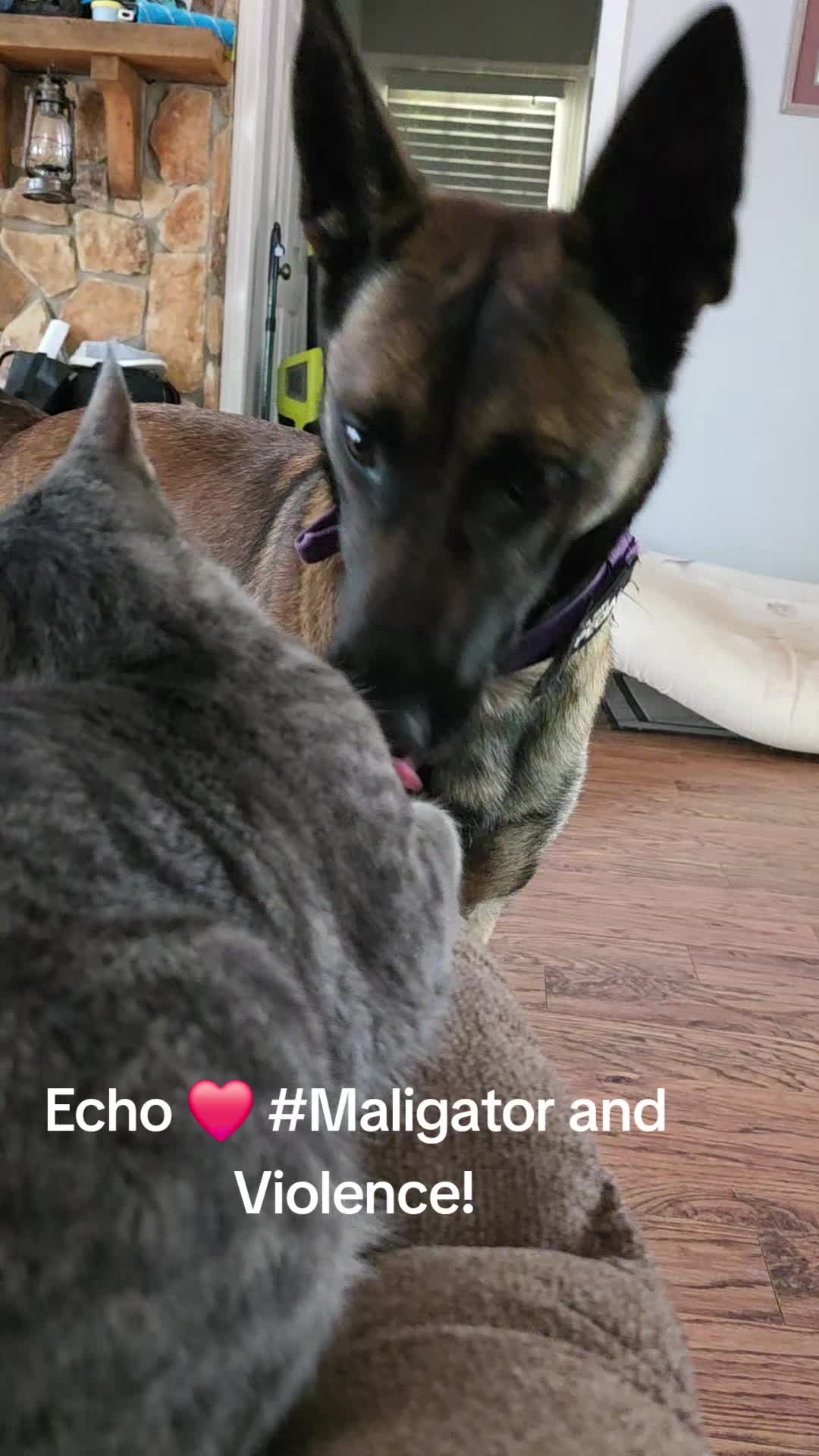 @Echo!