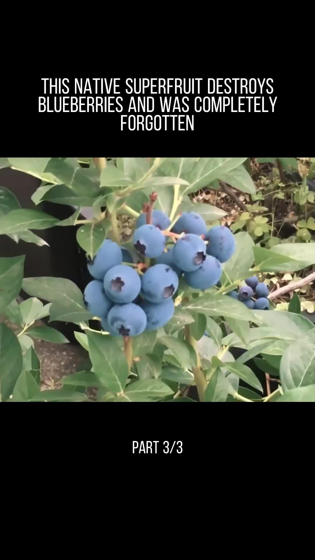 @user32331650853717