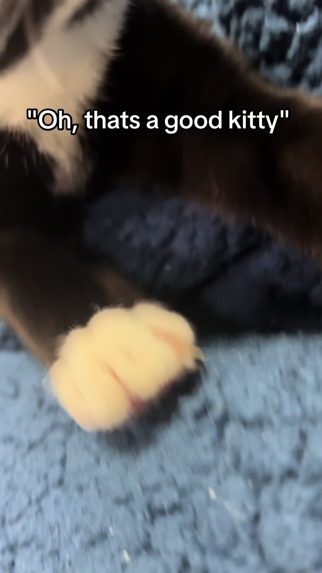 @yisbean