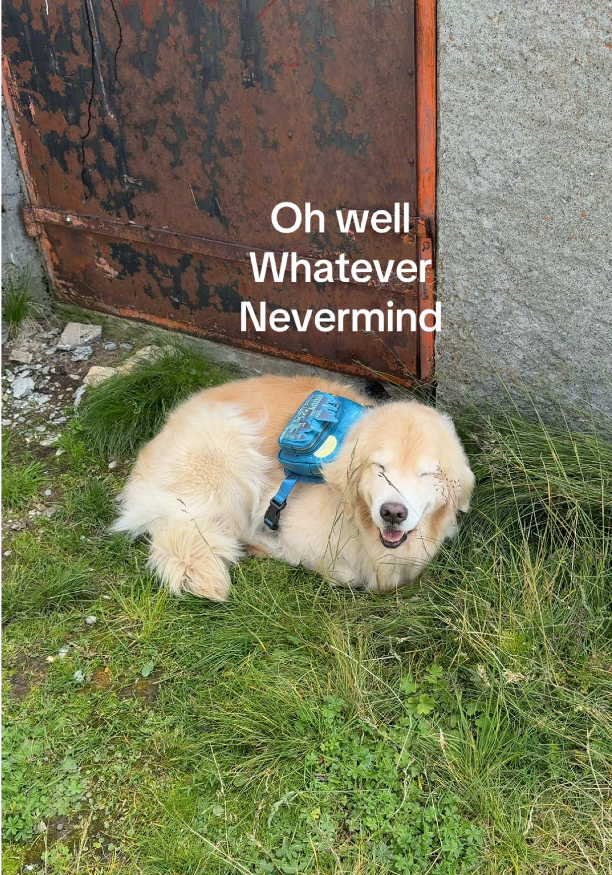 @Maui, Ruby +Hugo