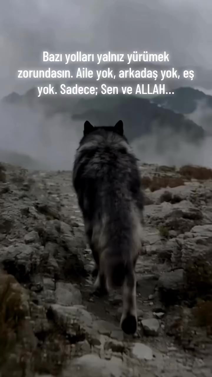 @ᴍᴜʜsɪ̇ɴ ɢᴏ̈ᴋᴀʟ🇹🇷
