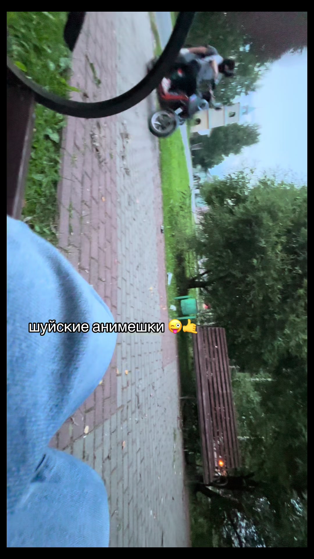@丰ева🪽
