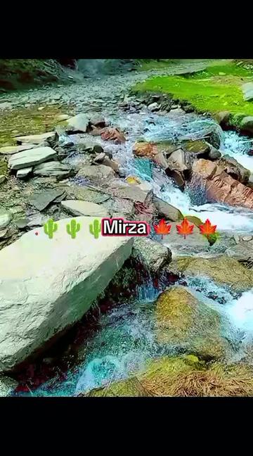 @miss mirza