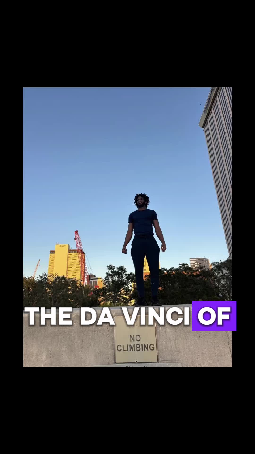 @da vinci of combat