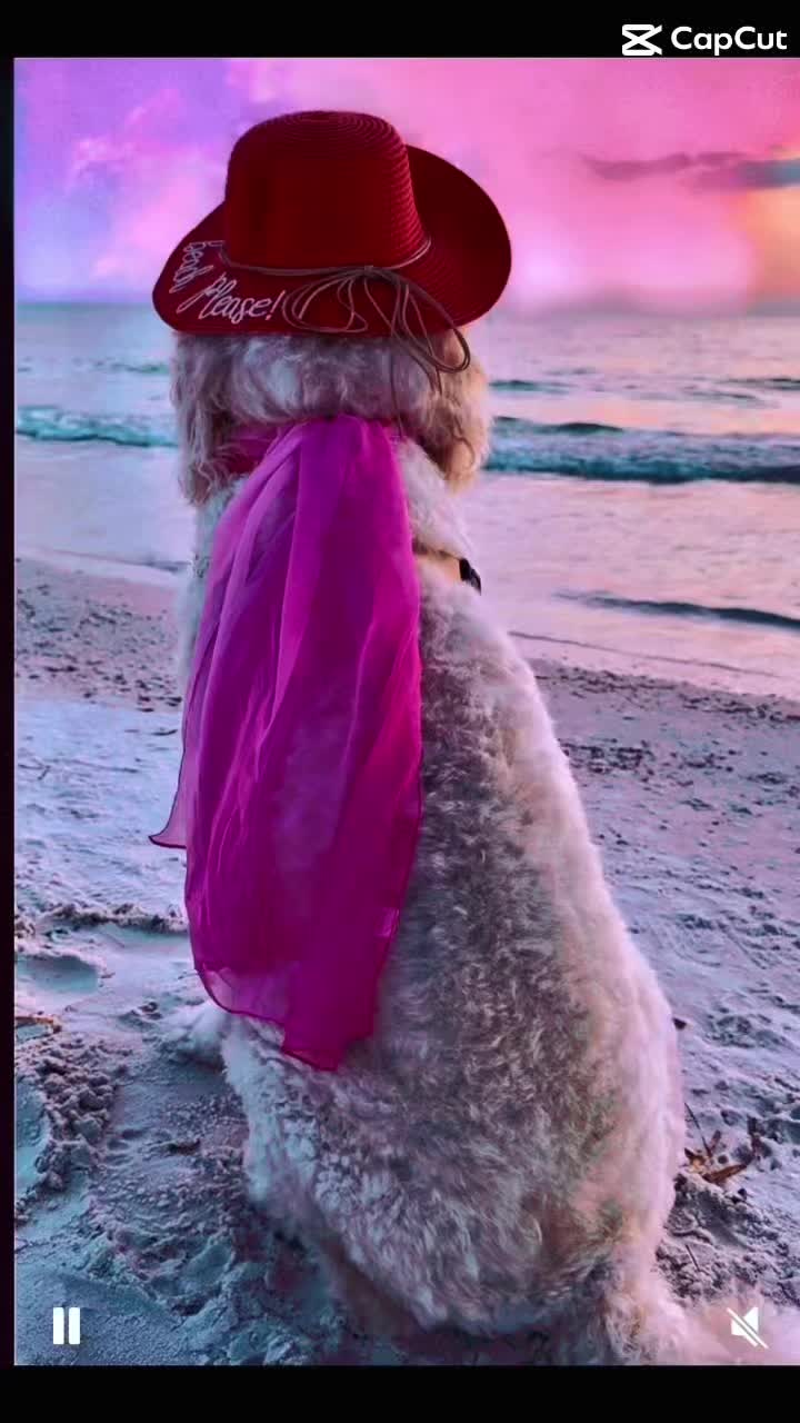@AnnieRose