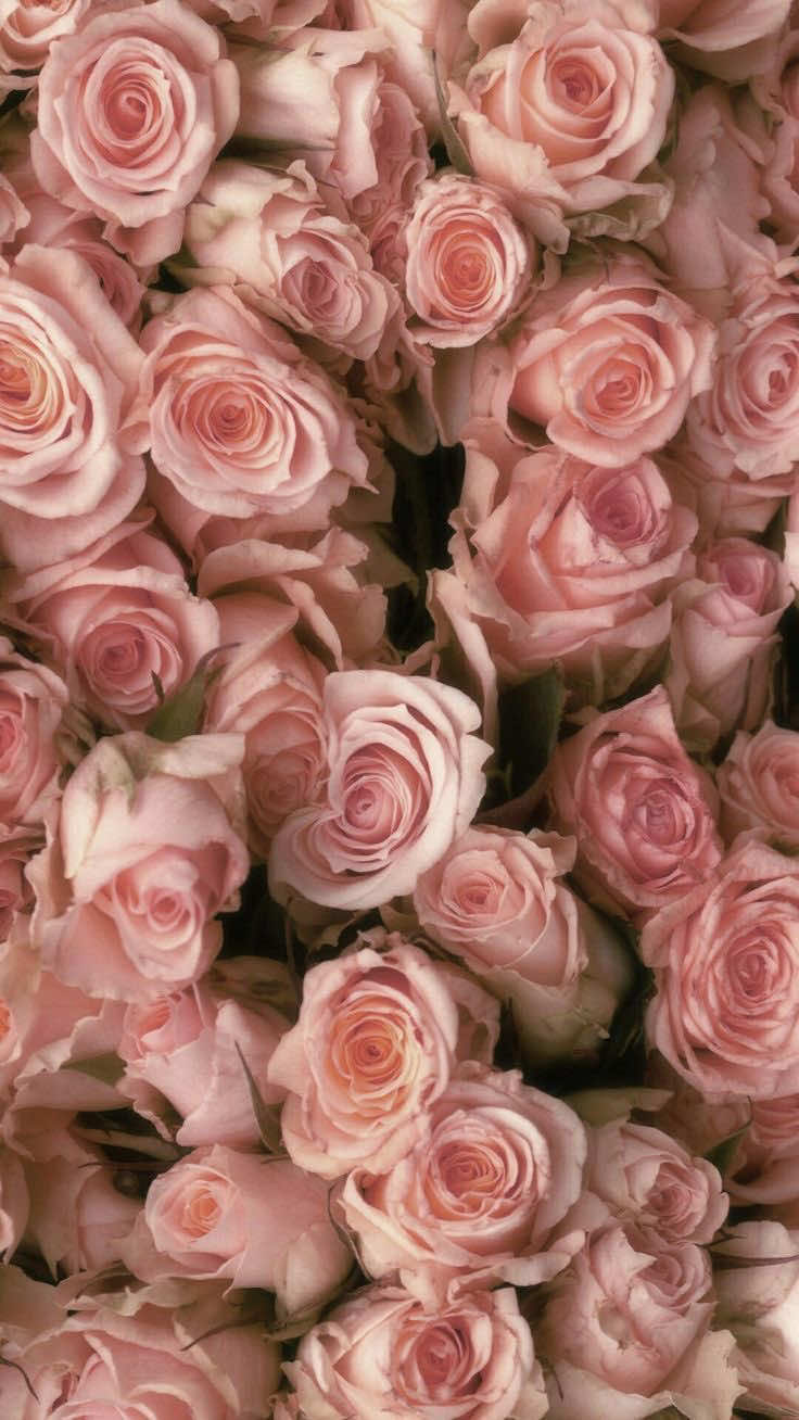 @𝐿𝓊𝒸𝓎.ೃ࿐
