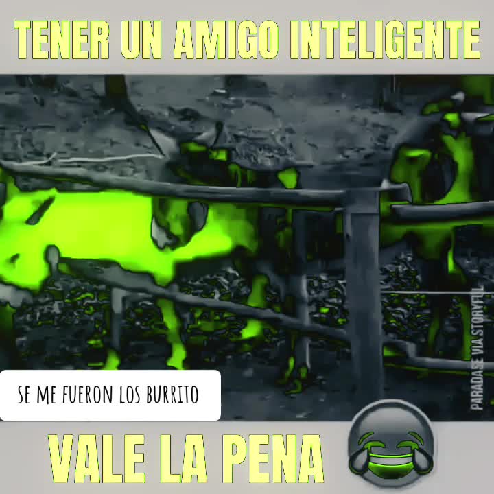@gamer5003