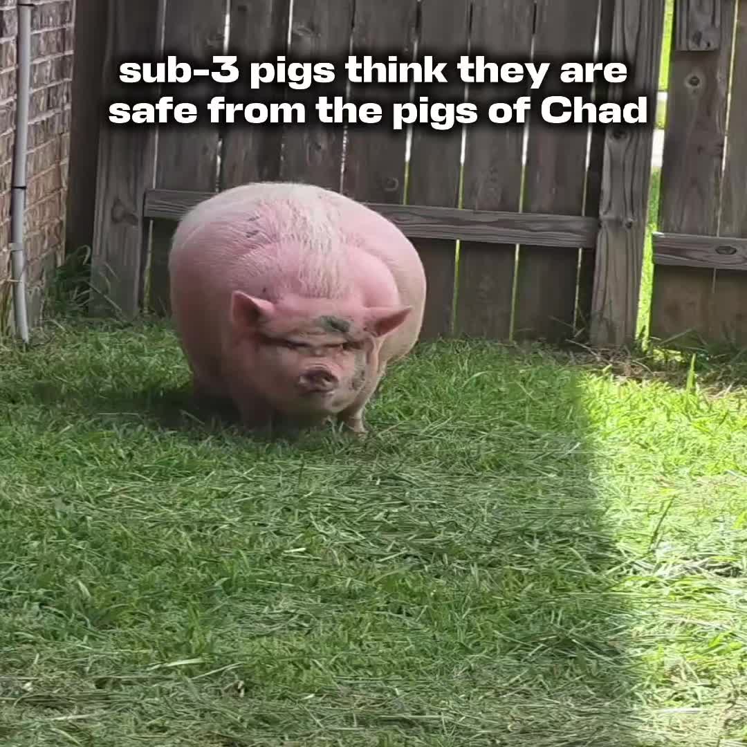 @заяц бурмалдаец