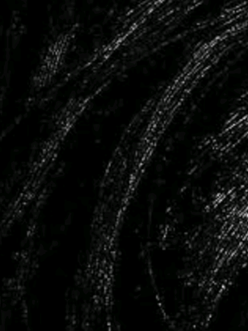 @★ 𝐎𝐭𝐢̀𝐬