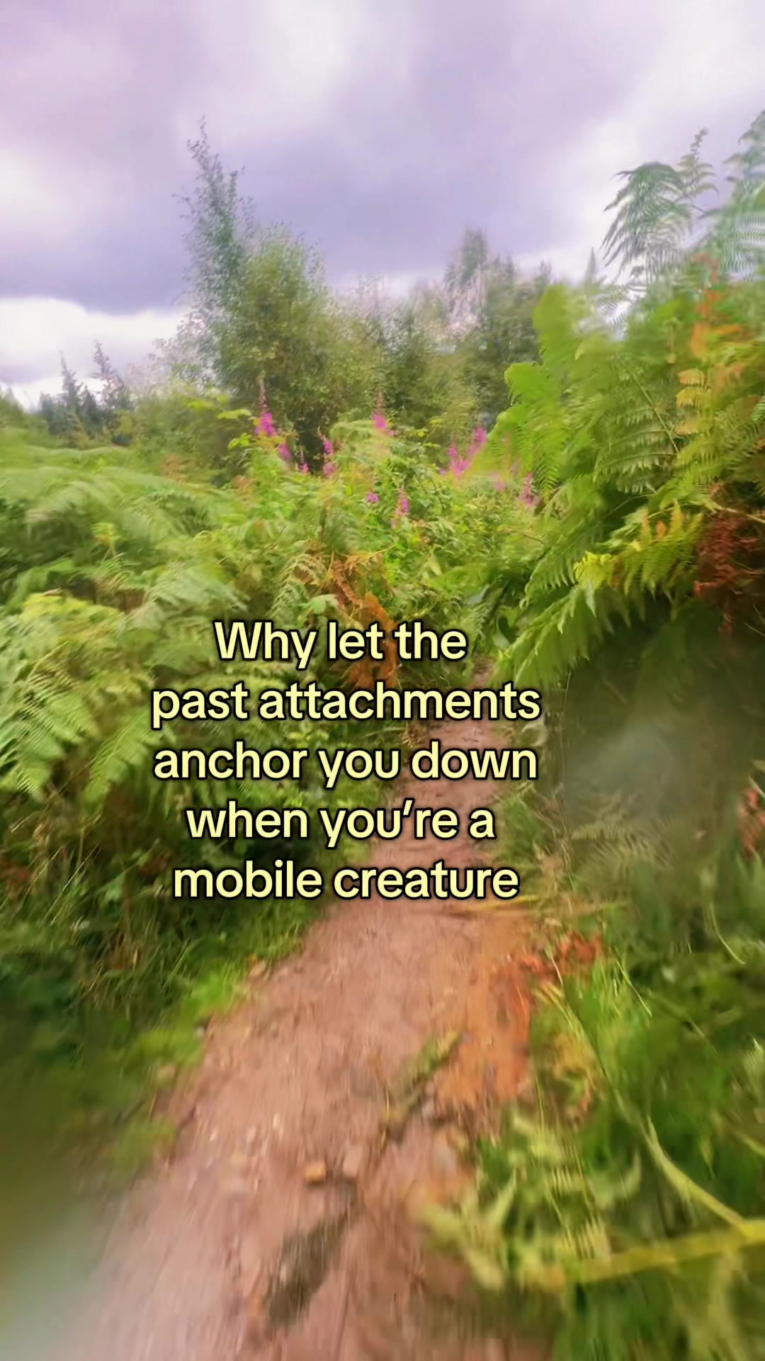 @PersonalTranscend
