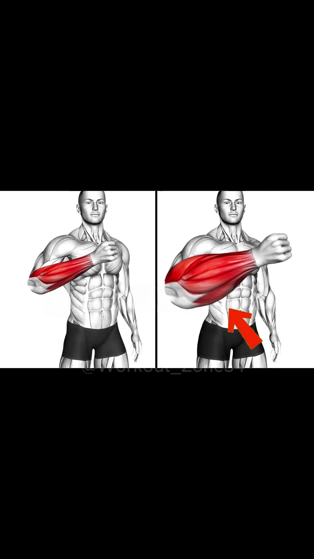 @workout_zone34