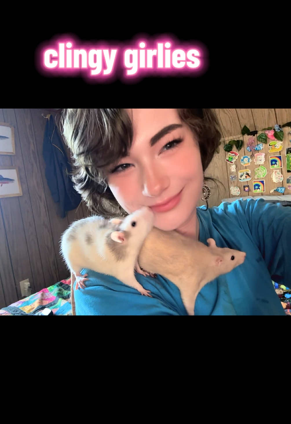@lookatmyrodents