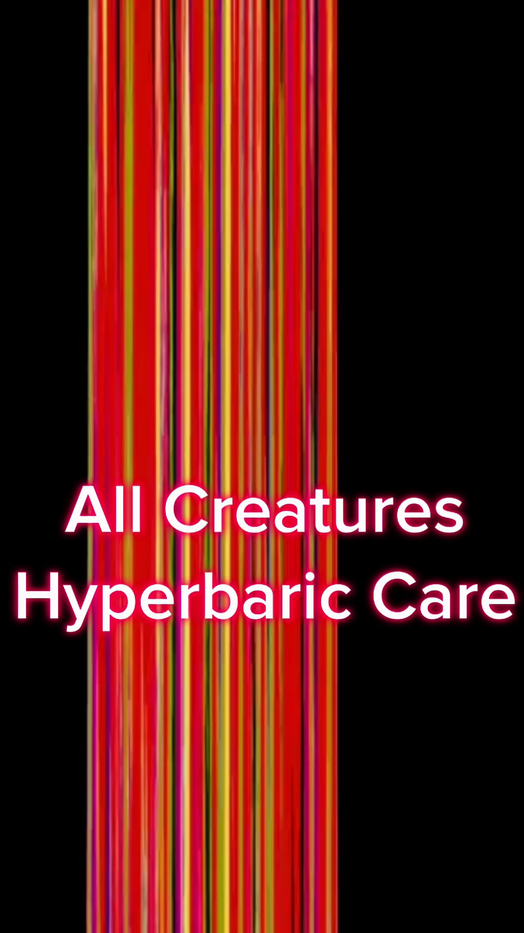 @#animalhyperbarics
