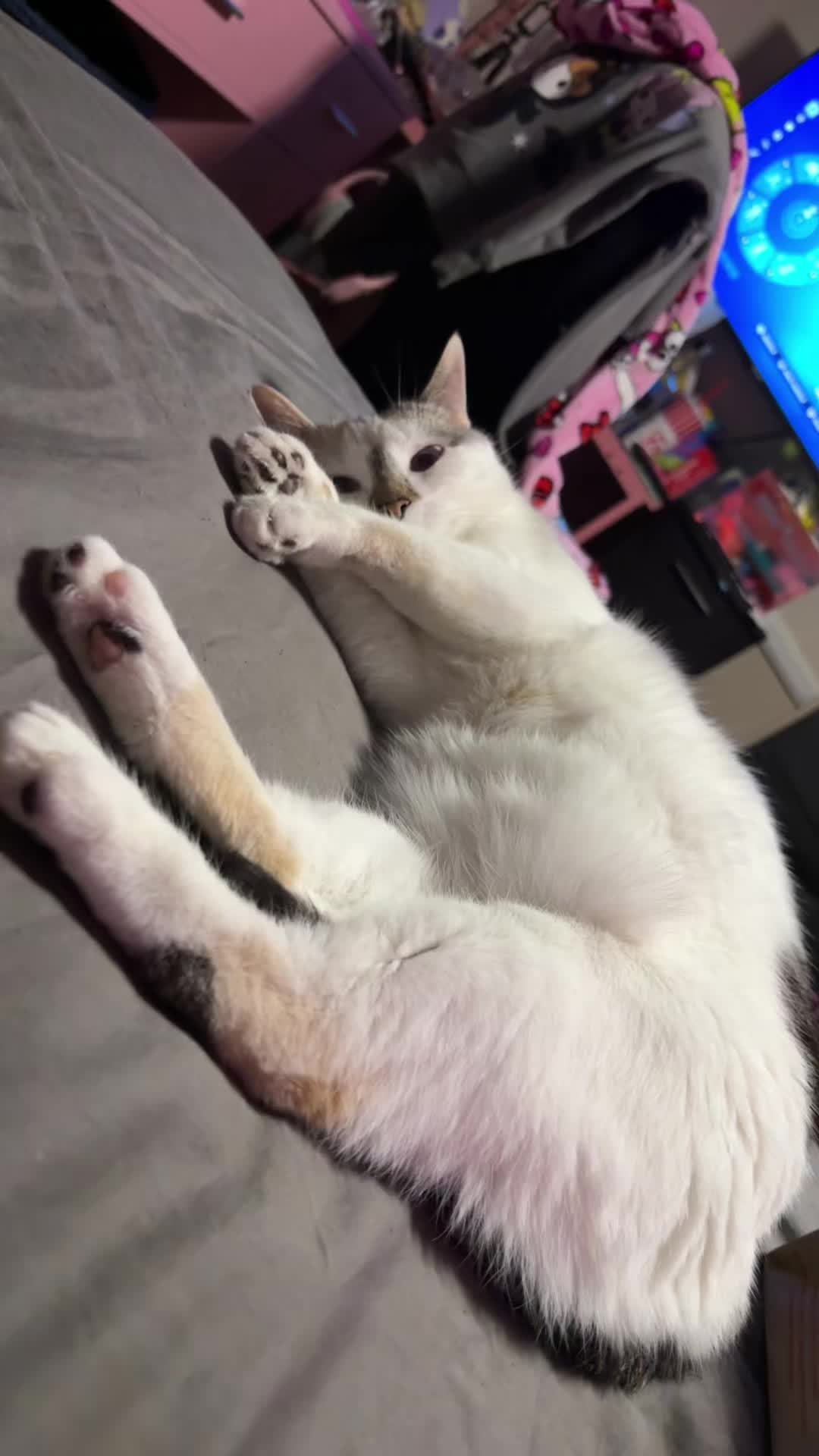 @Pinkie Pam🎀