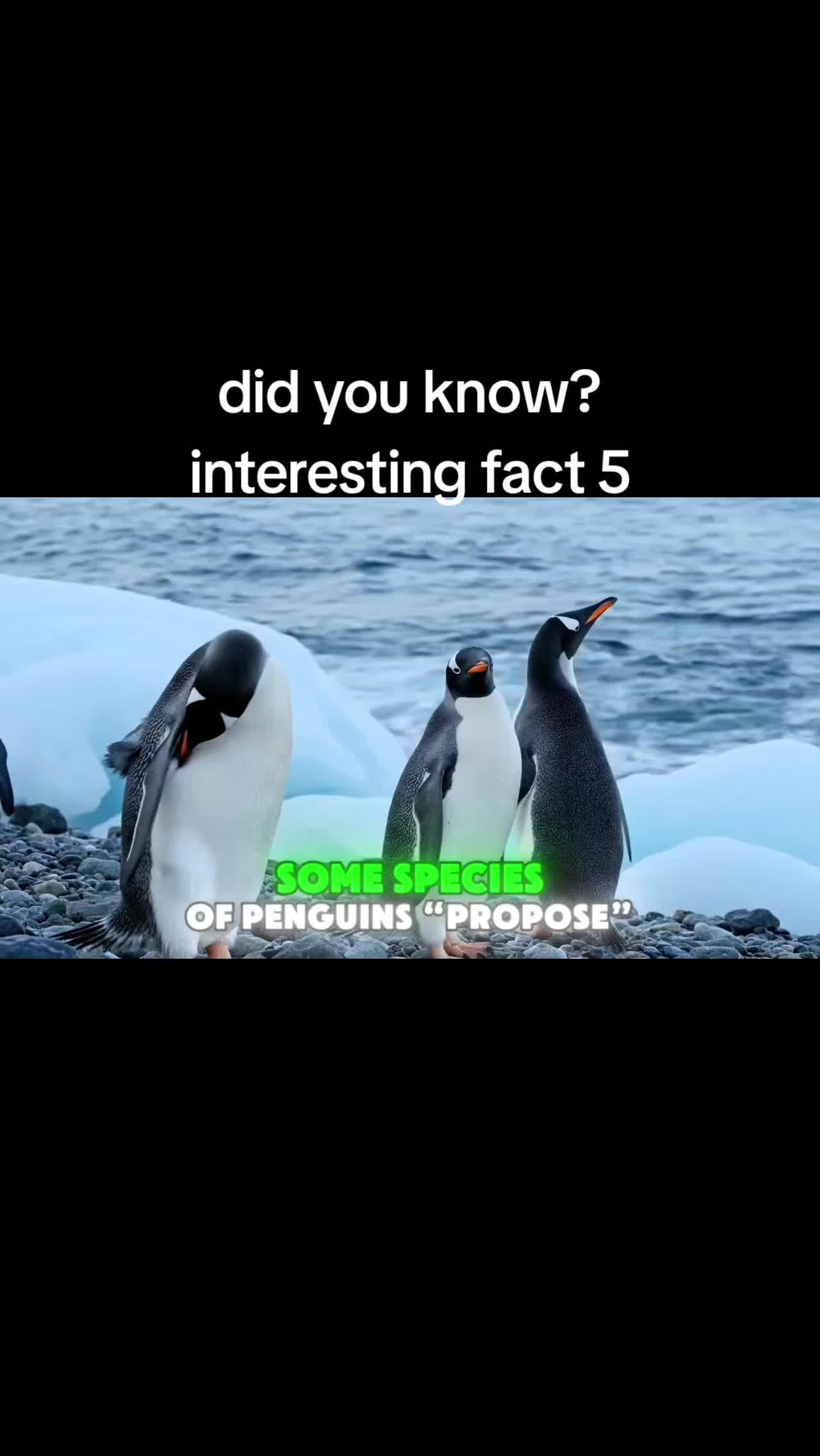 @KevOnRepeat