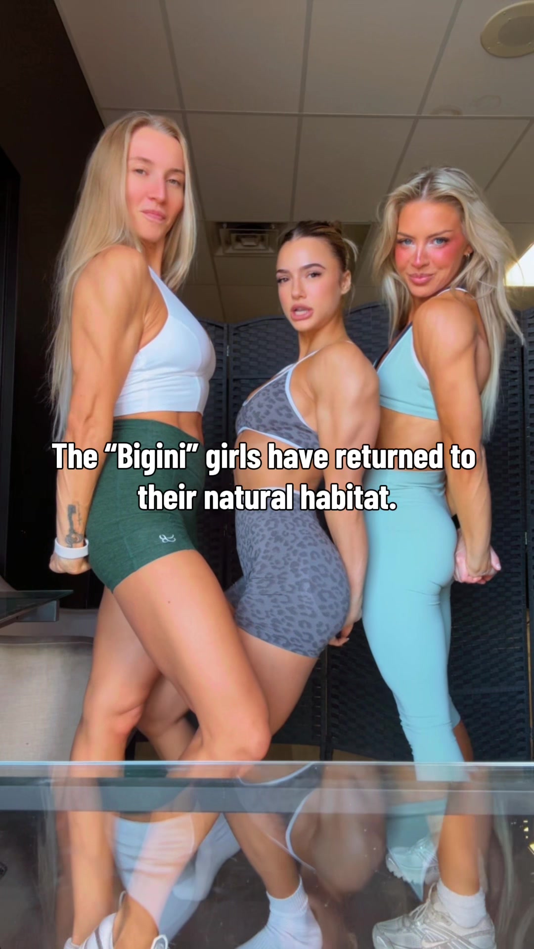 @ashleymcevers_
