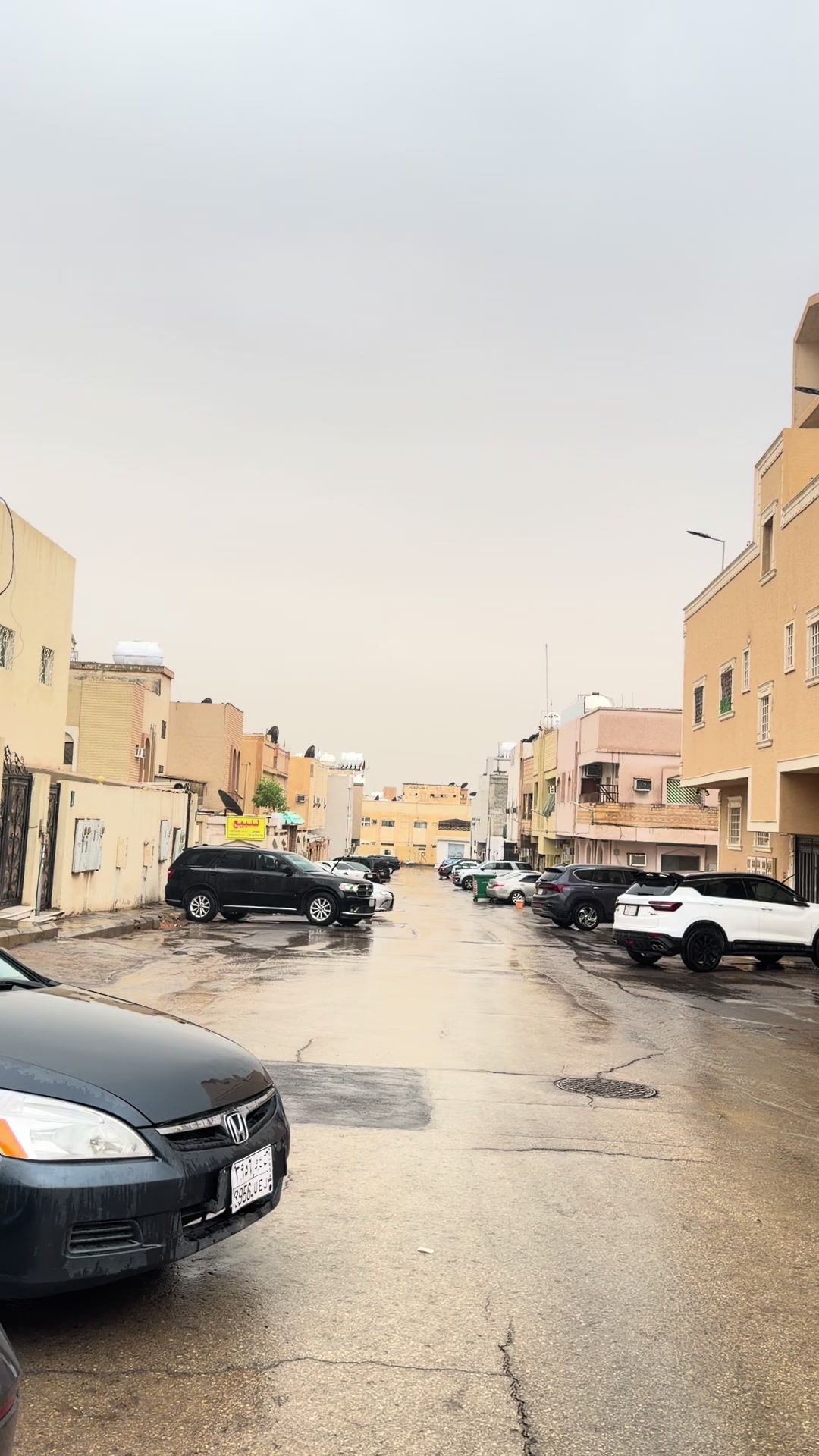 @بشتون 🔪