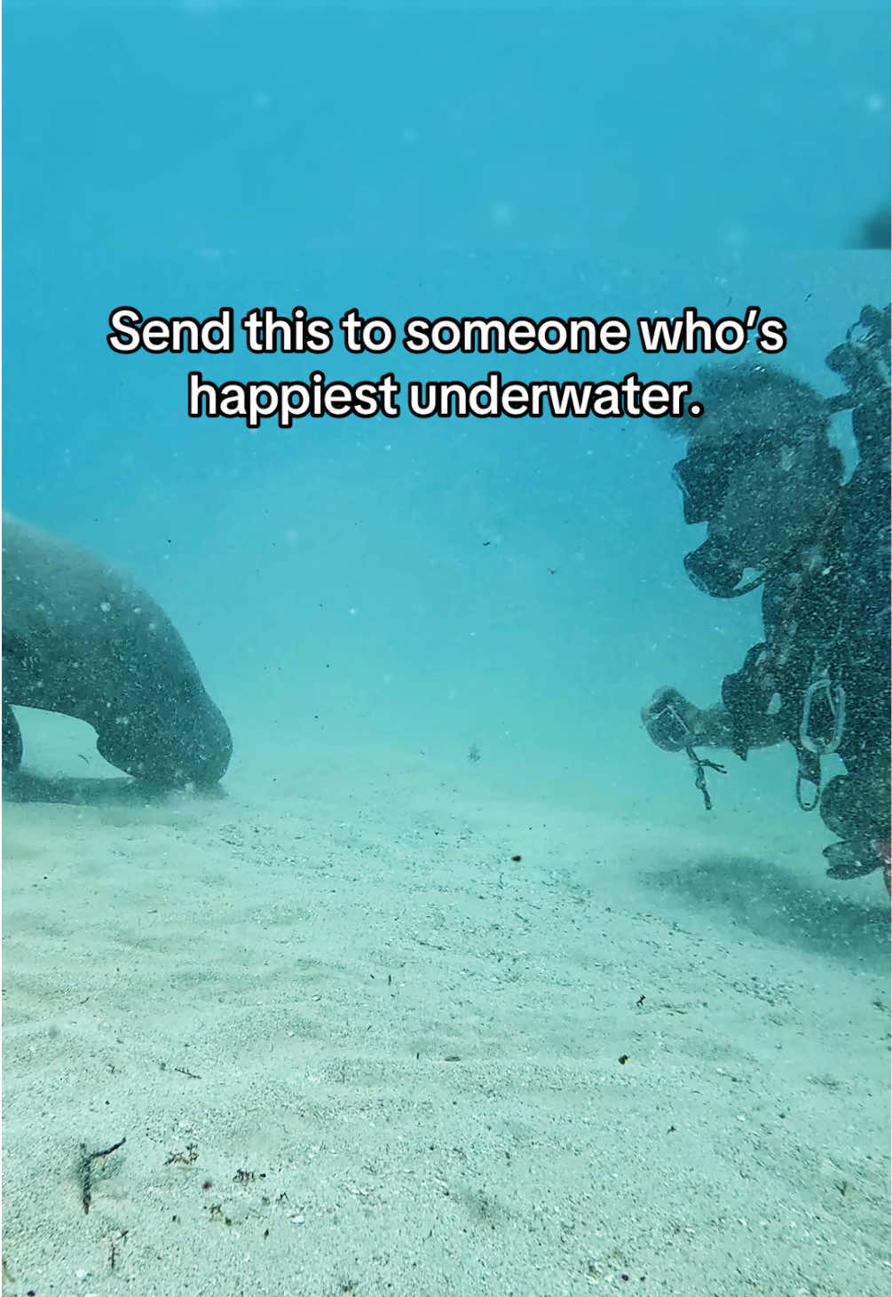 @Conservation Int