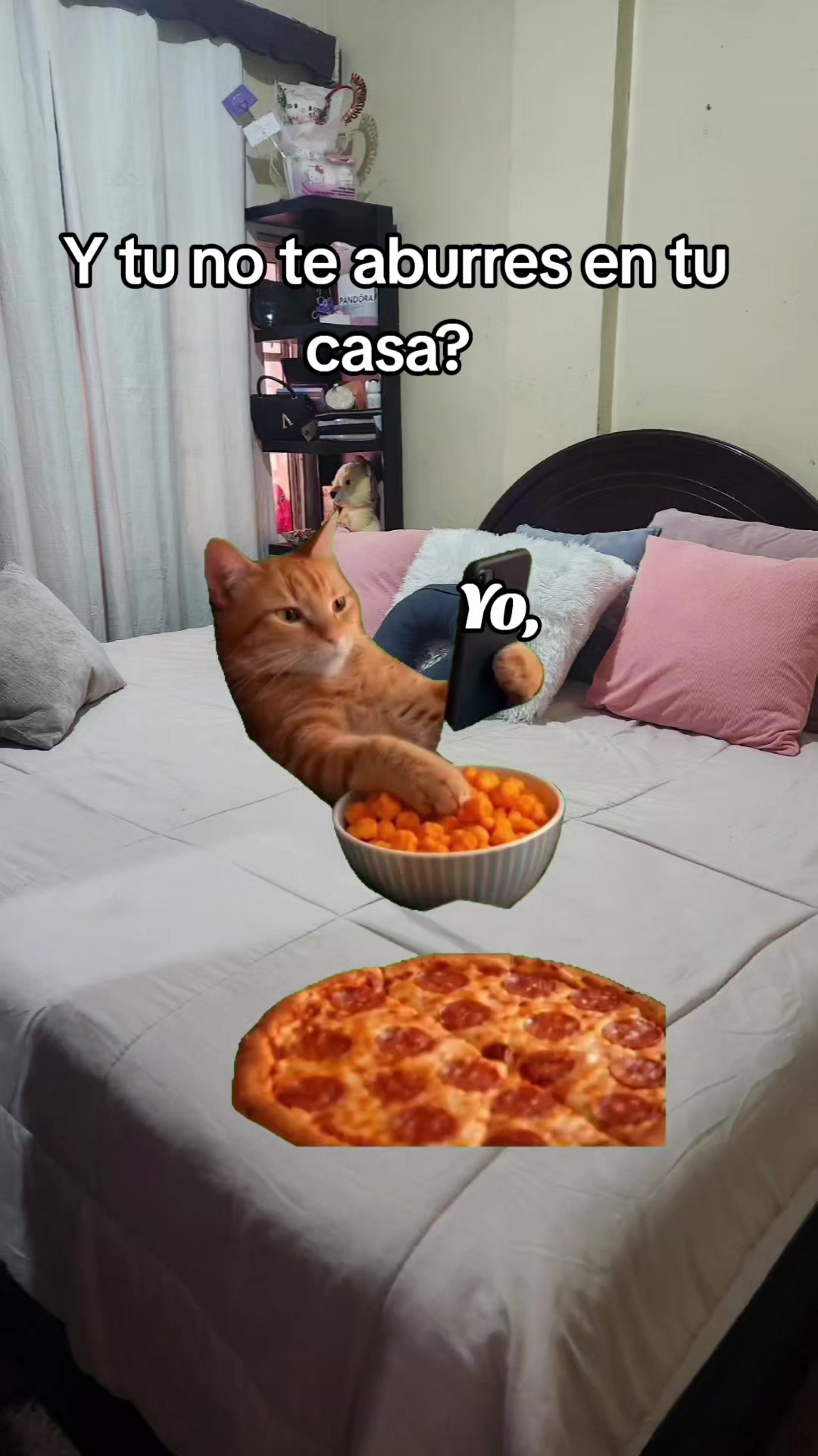 @Misinguita Cárdenas 😻