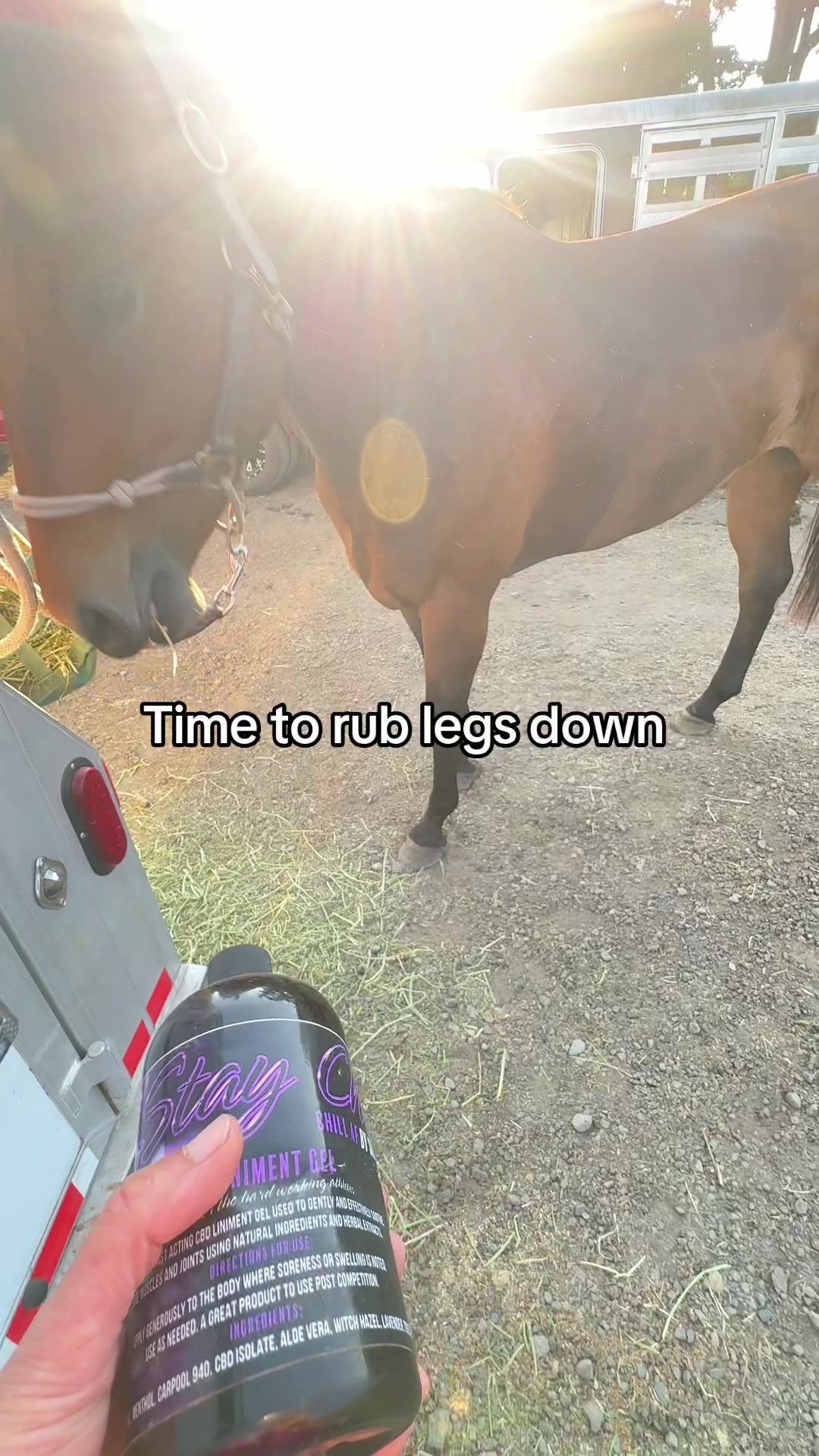 @SAMANTHA | BARREL RACING