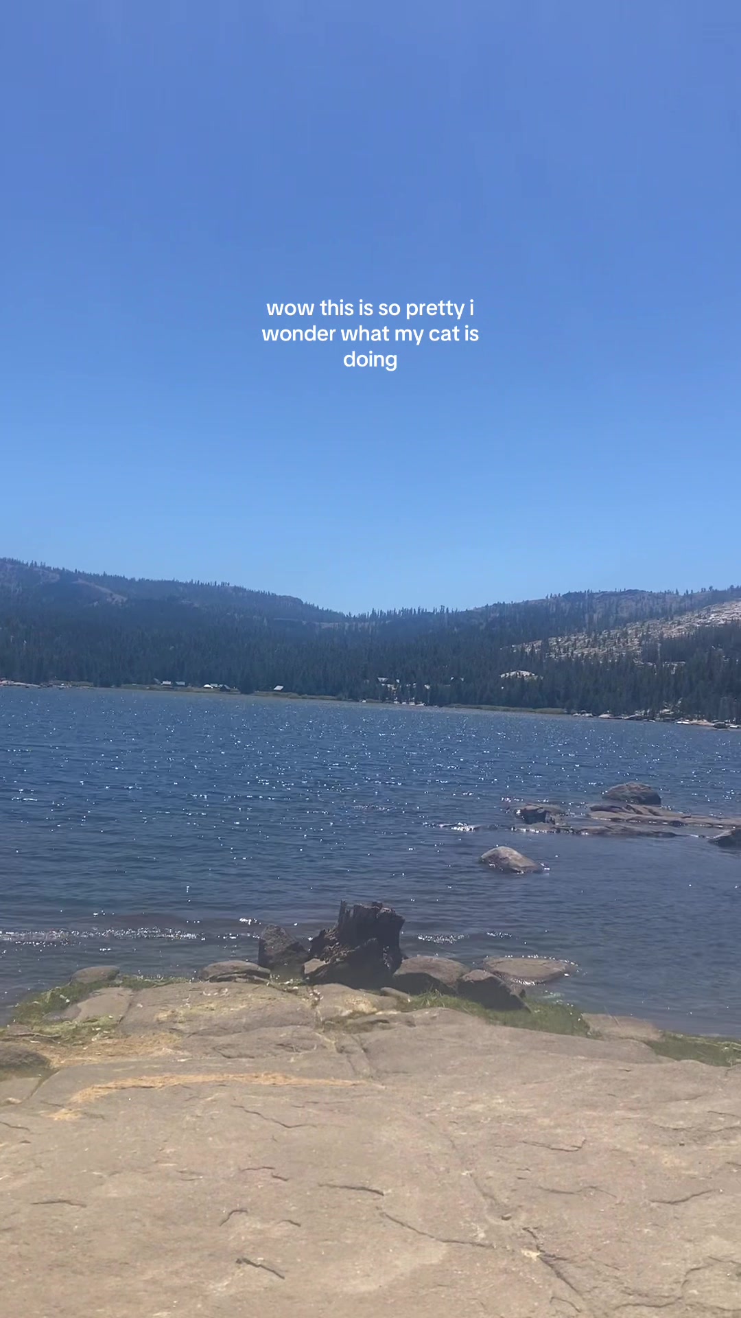 @delilah tucker