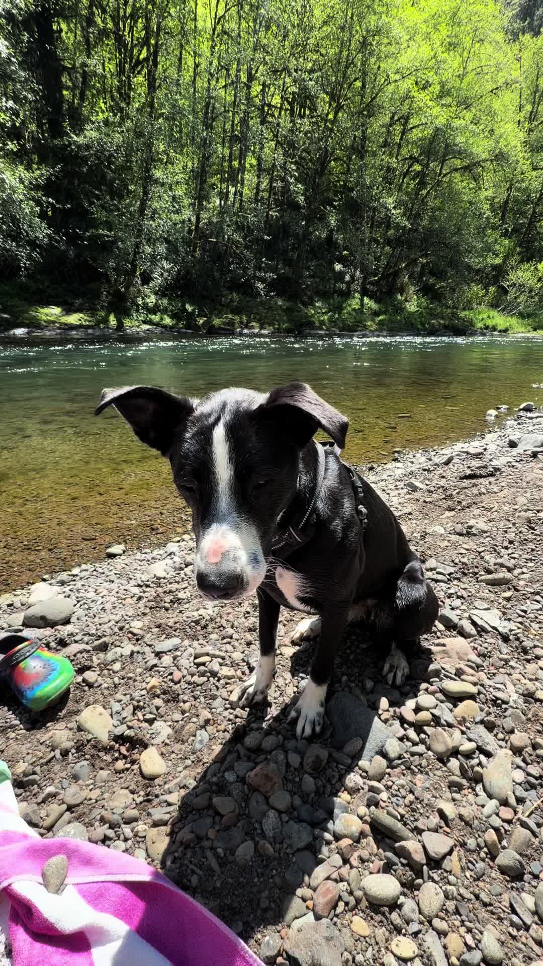 @oregonskyveek