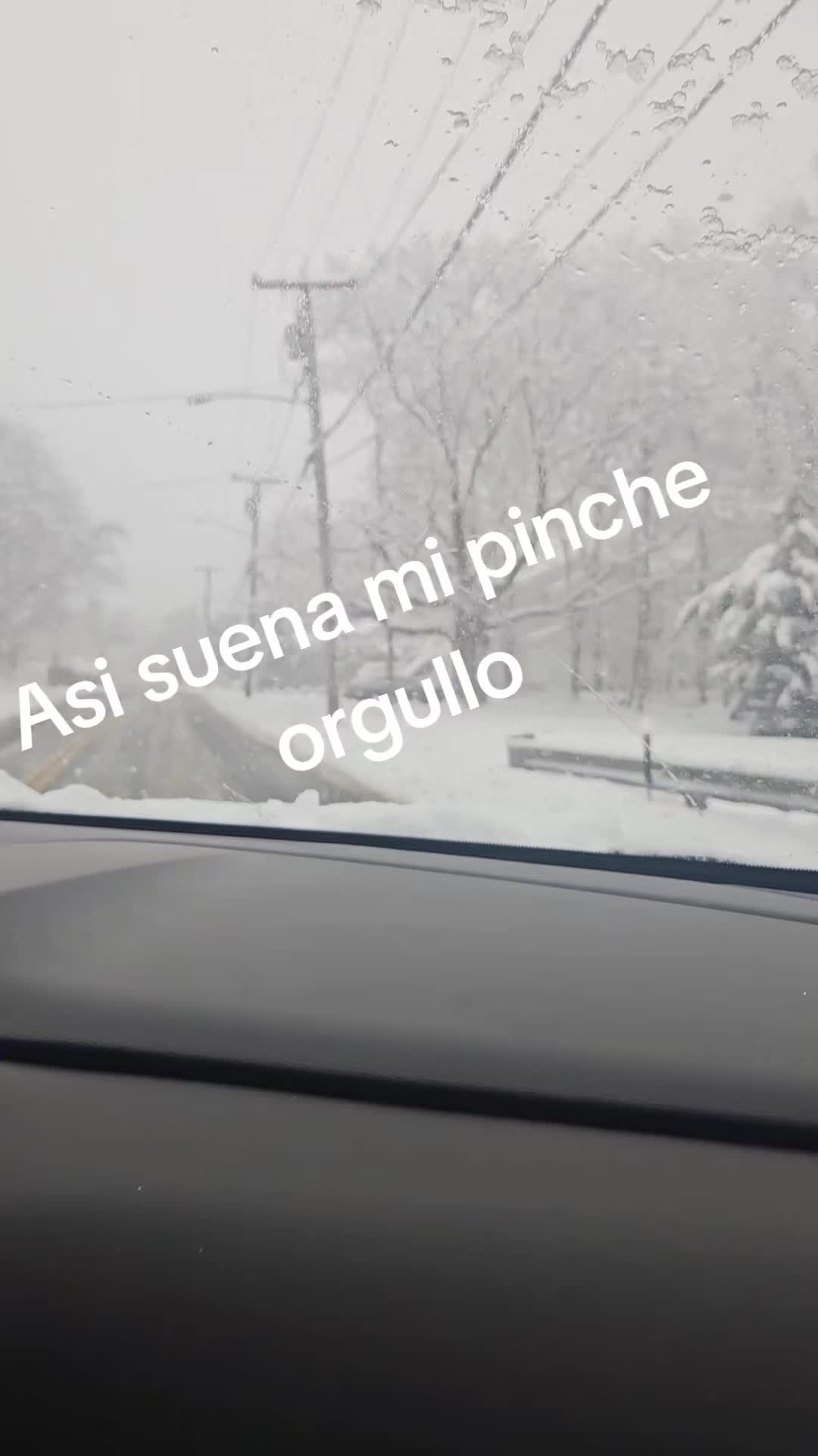 @lucrecia