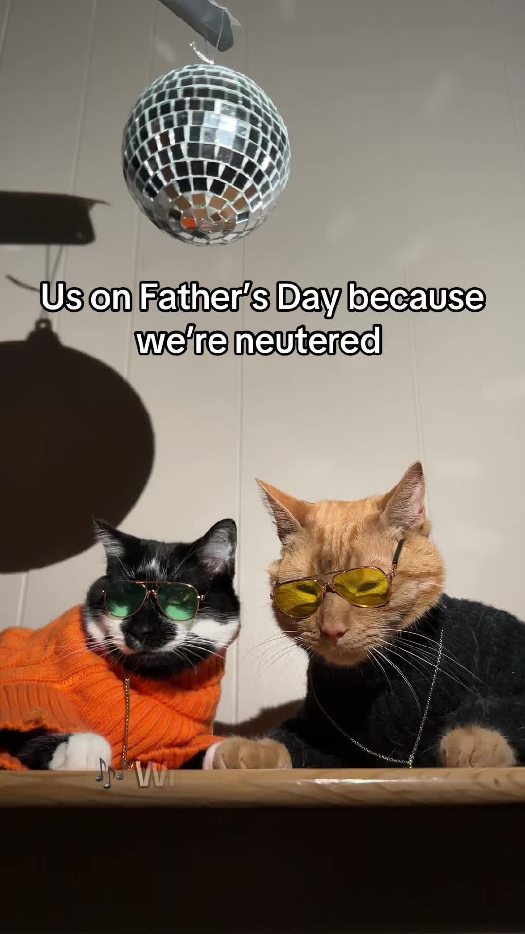@neuteredscooter