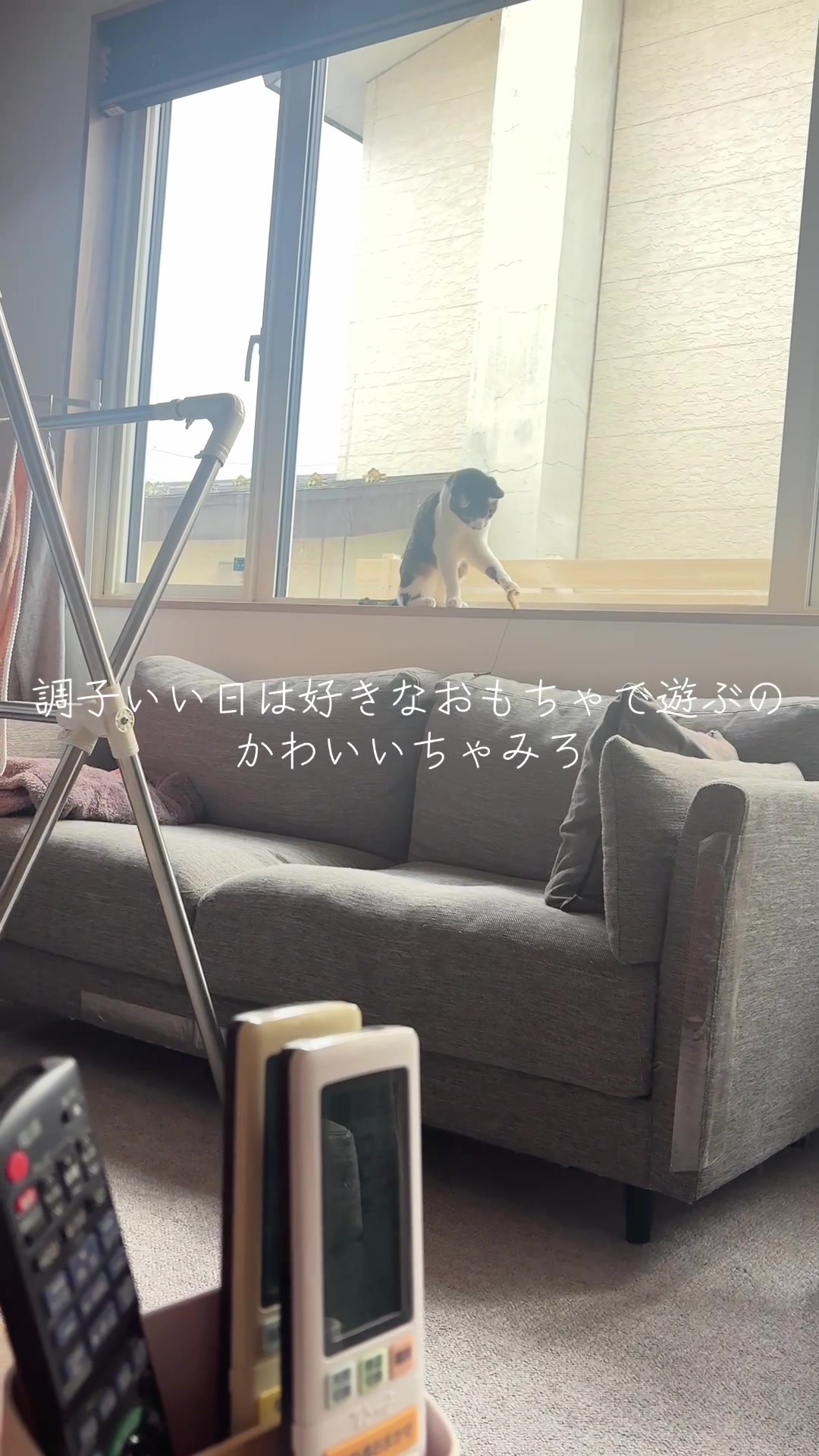 @さまむ〜