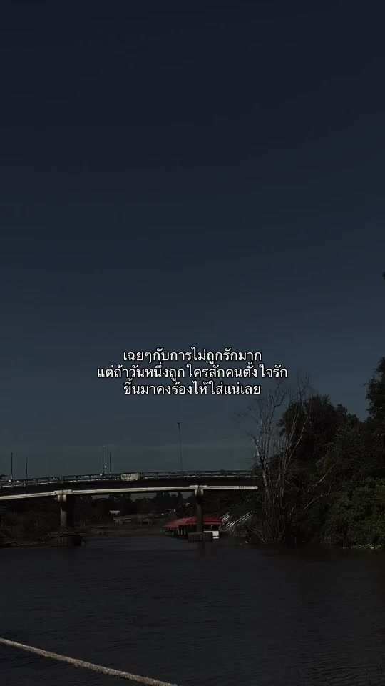 @⋆. 𐙚 ˚