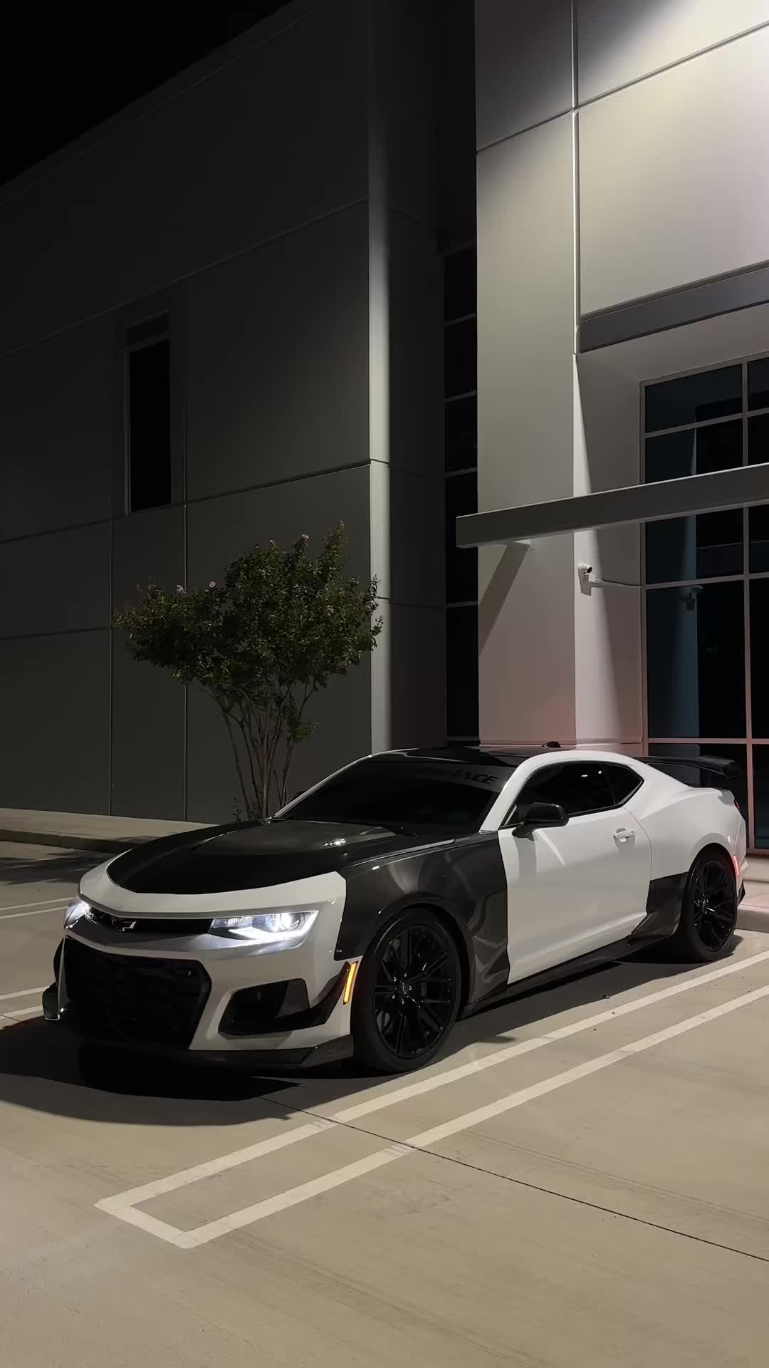 @SHHHZL1